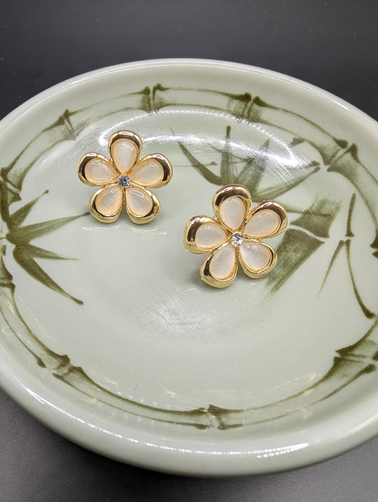 White Daisies with gold edges Earrings